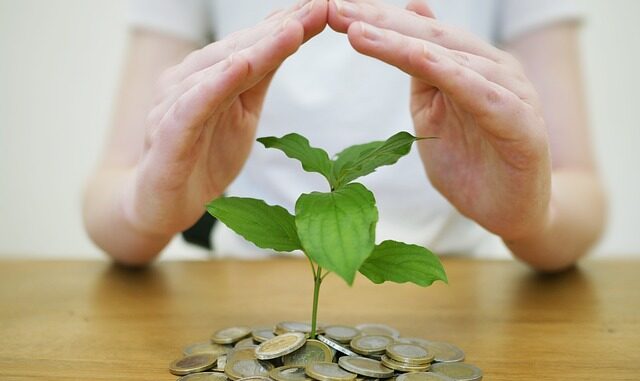 The Sustainable Choice The Sustainable Choice